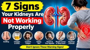7 Signs Your Kidneys May Not Be Working Properly